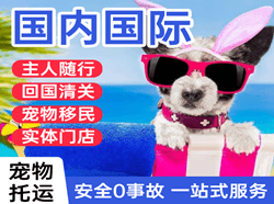 潍坊航空货运国际宠物托运 【国